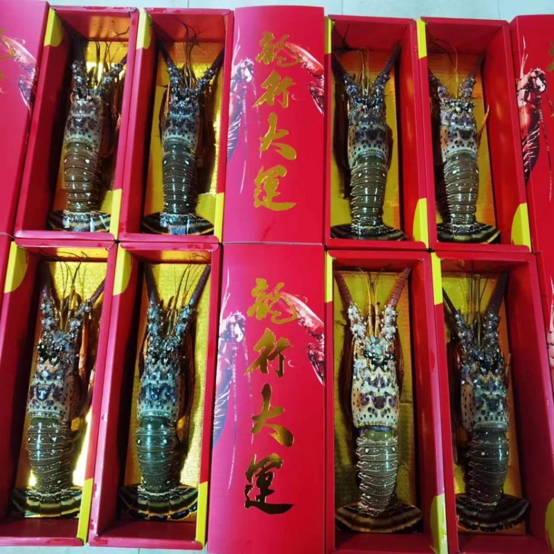 龙虾礼盒🎁送礼佳品2-3斤3-4斤4-5斤5-6