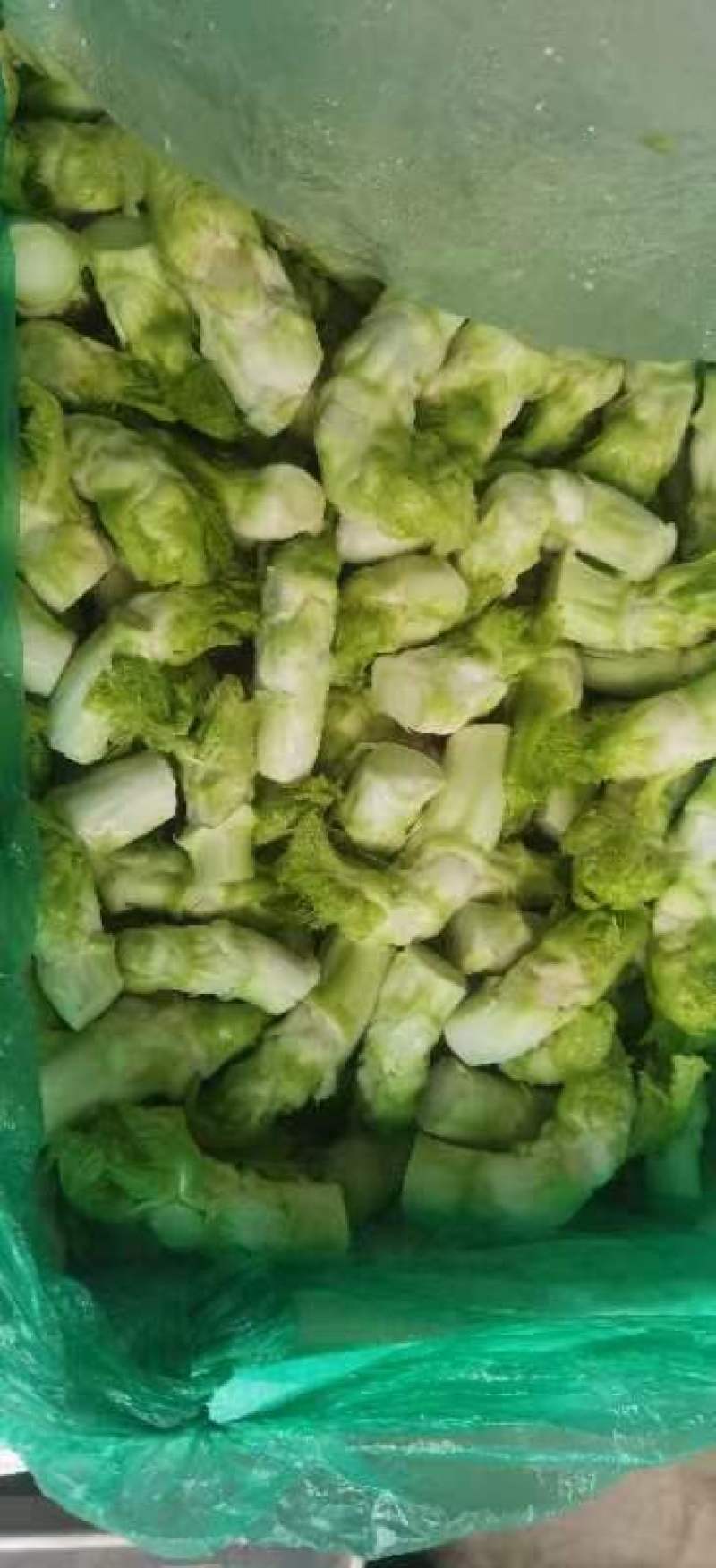 儿菜，基地直销，大小匀称，质量保证，按需分拣。