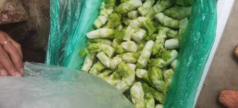儿菜，基地直销，大小匀称，质量保证，按需分拣。