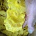 【包邮】菠萝干果蜜饯水果干甜菠萝圈凤梨干片休闲食品干货批