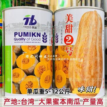 台湾新品种美甜2号蜜本南瓜种子大果蜜本南瓜种籽高产粉甜糯