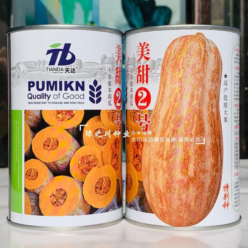 台湾新品种美甜2号蜜本南瓜种子大果蜜本南瓜种籽高产粉甜糯
