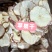 【包邮】苹果干片烘干脆片无添加无糖网红水果片蜜饯水果干果