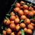 南充红橘，大果，精品果，可供市场批发，商场，拖板零售等。