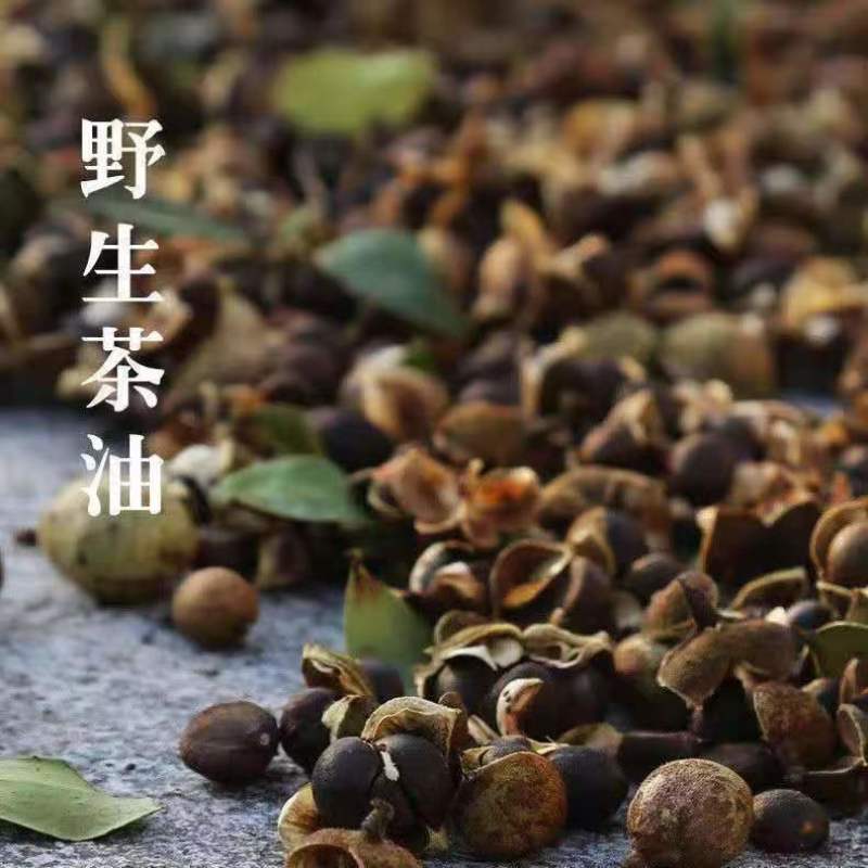 江西赣州正宗山茶油，口感纯正，品质保证，诚信经营欢迎致电