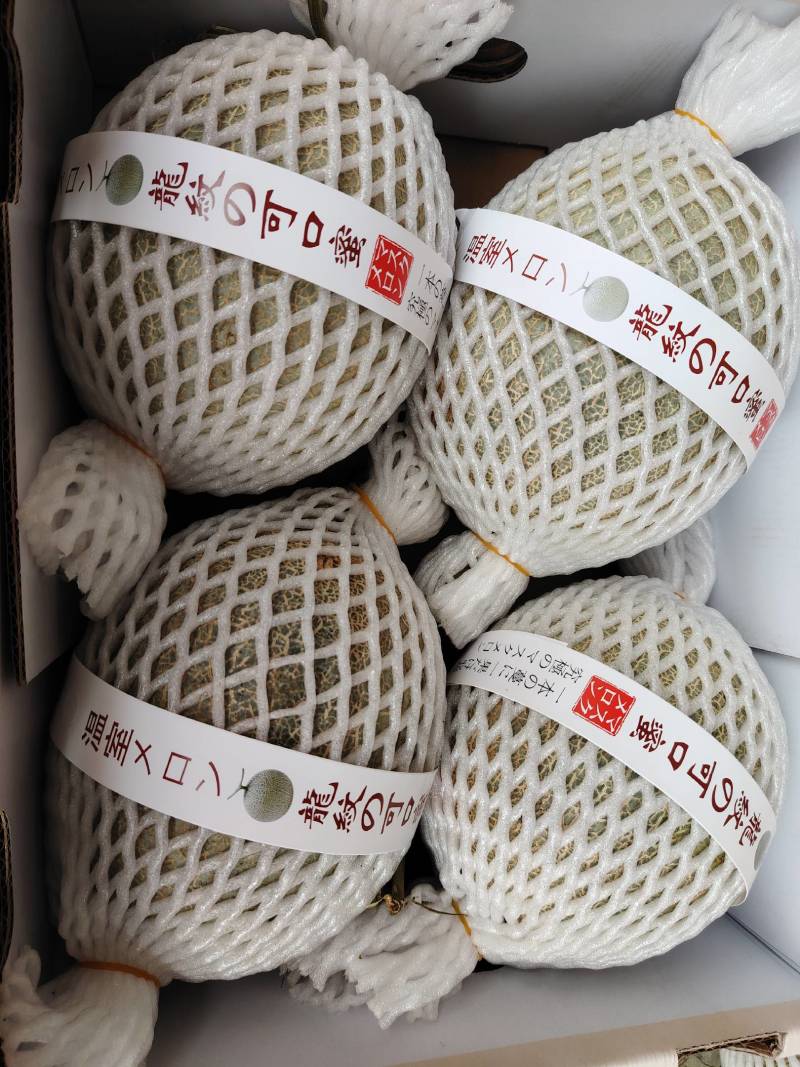 海南小蜜25大量上市，产地直发，可视频看货