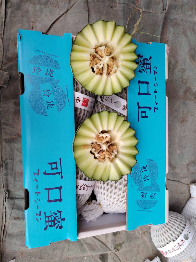 海南小蜜25大量上市，产地直发，可视频看货