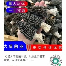 2大禹菌业批发《绿之源》种植场场地销货电话联系……