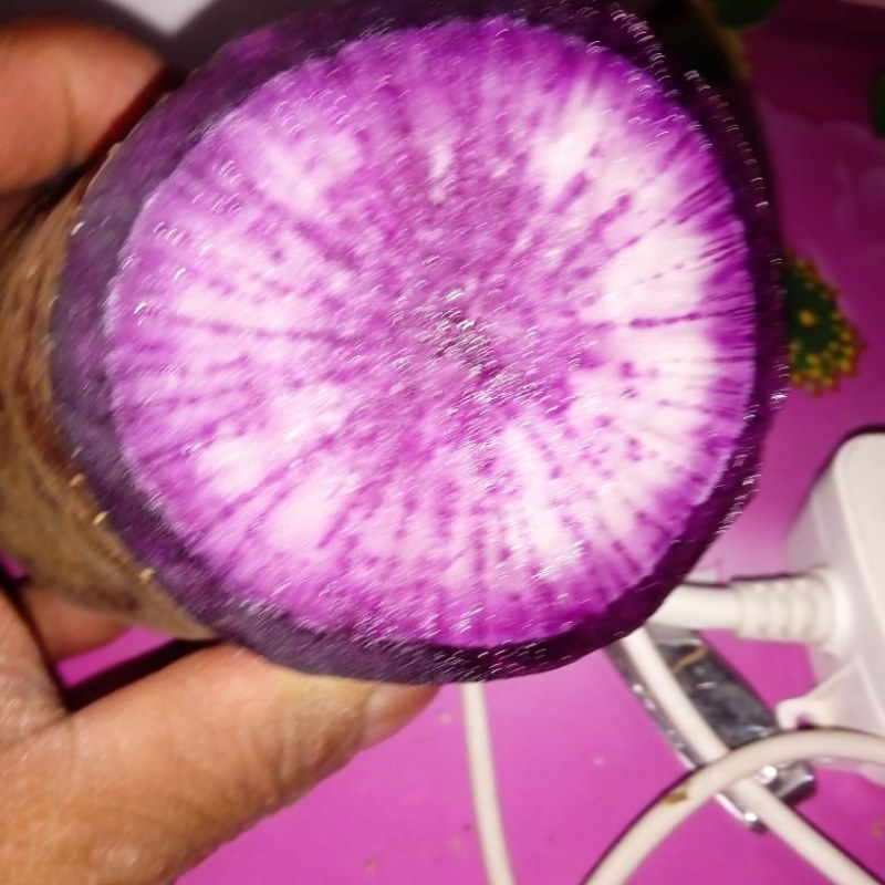 冰琪凌罗卜