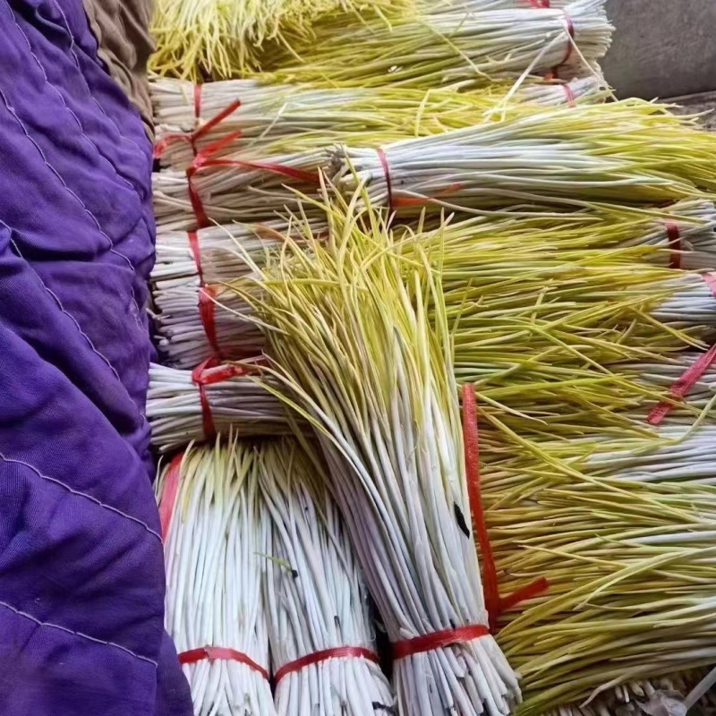 蒜黄山东蒜黄，蒜头黄，长度45以上，可对接电商，市场农贸
