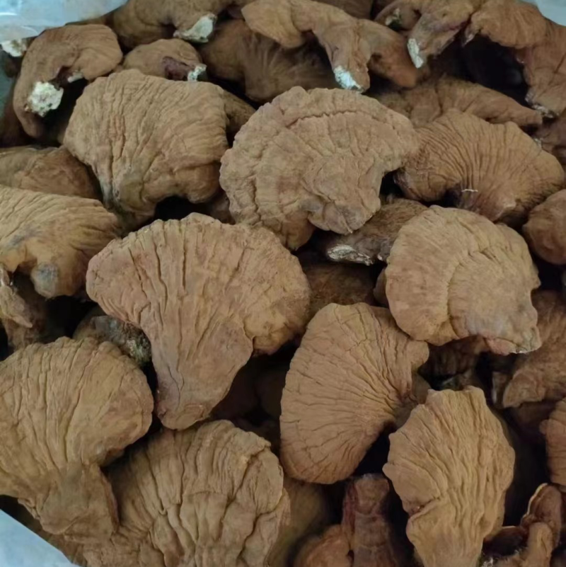 松山灵芝90一斤，有几千斤规模。