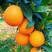 奉节脐橙，二级果一级果，高次果，代收代发，大量上市！