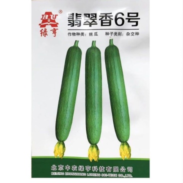 绿亨翡翠香6号丝瓜种子春秋播中早熟油亮顺直香丝瓜种子翠