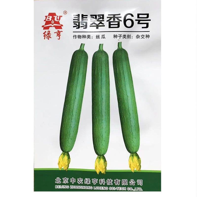 绿亨翡翠香6号丝瓜种子春秋播中早熟油亮顺直香丝瓜种子翠