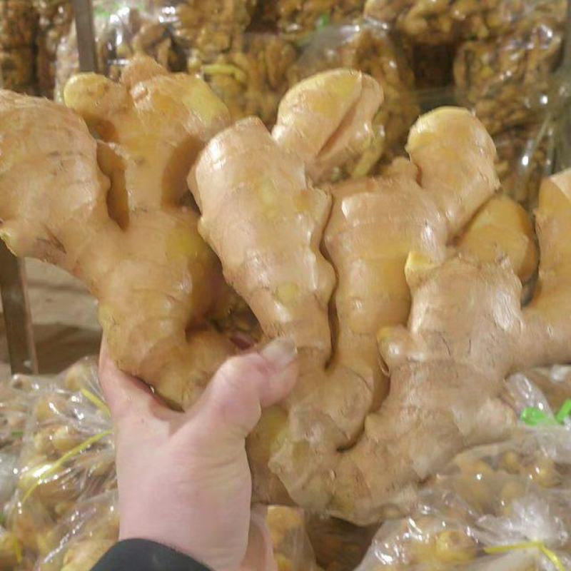 水洗大姜批发优质大姜产地品质好货源充足可大量发货