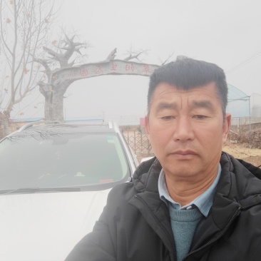 我砀山常华，育桃和梨苗，黄金冠，南非。欢迎来基地考察冾谈