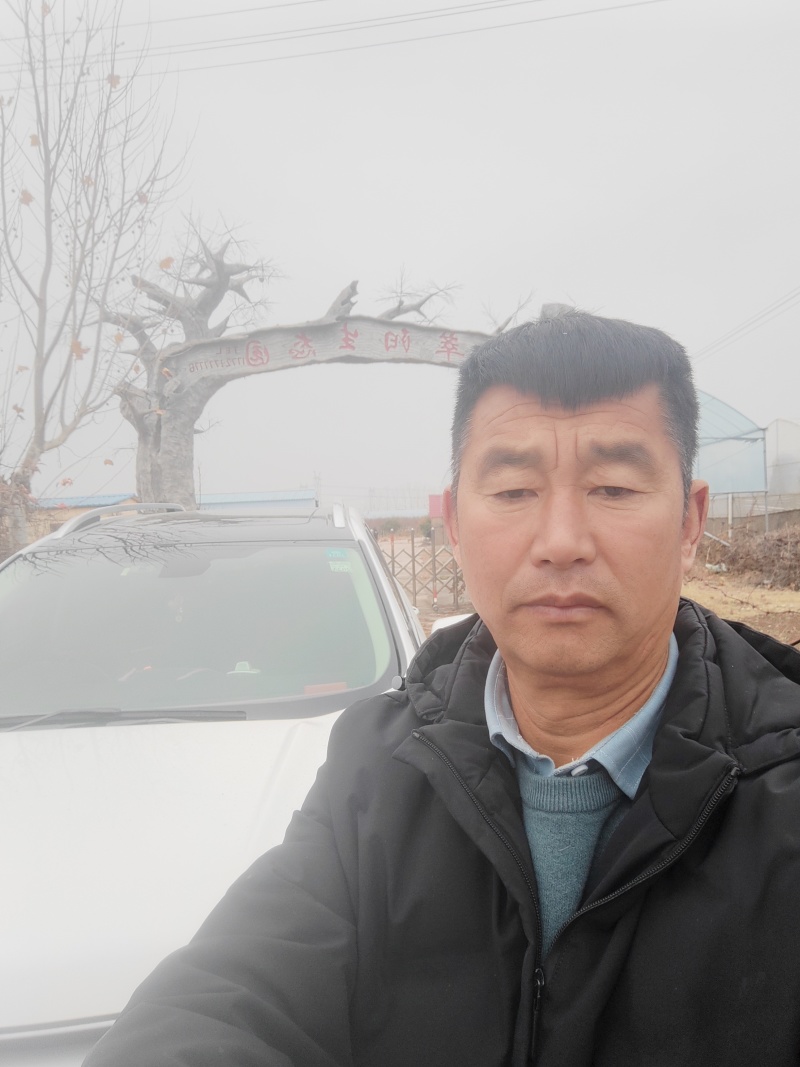 我砀山常华，育桃和梨苗，黄金冠，南非。欢迎来基地考察冾谈