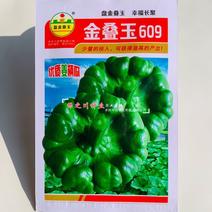 姜饼瓜南瓜种子云南省金叠玉609姜柄瓜种子优质柿饼南瓜种