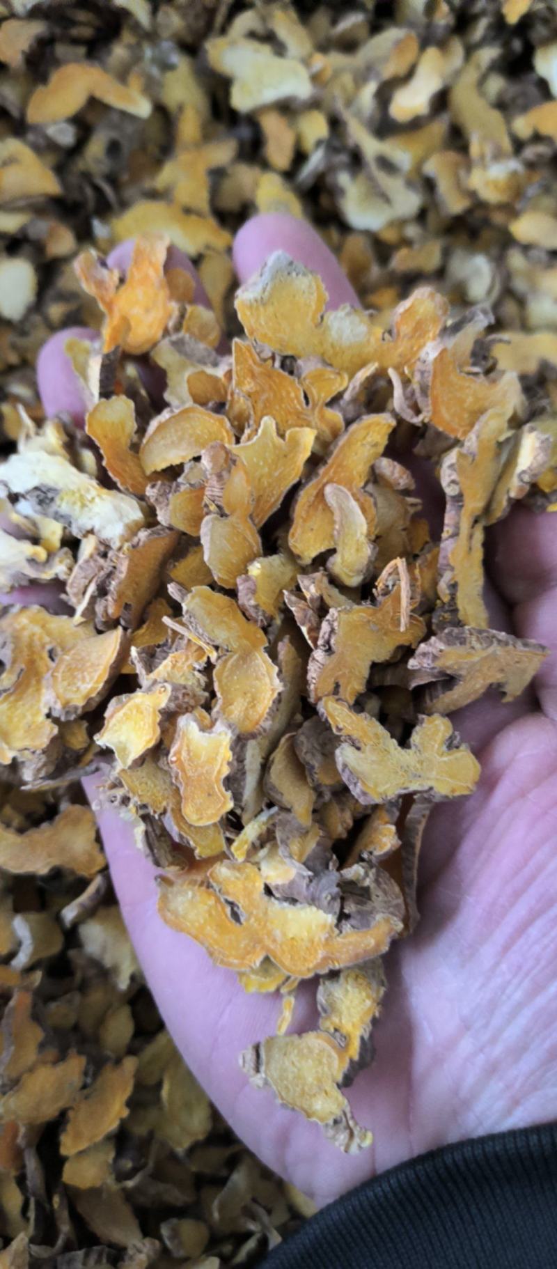 射干中药材批发射干质量保证量大从优