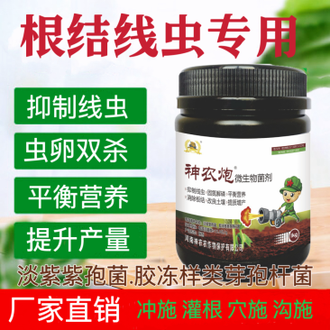 根结线虫专用淡紫紫孢菌胶冻样虫卵双杀根瘤菌病抑菌杀线虫