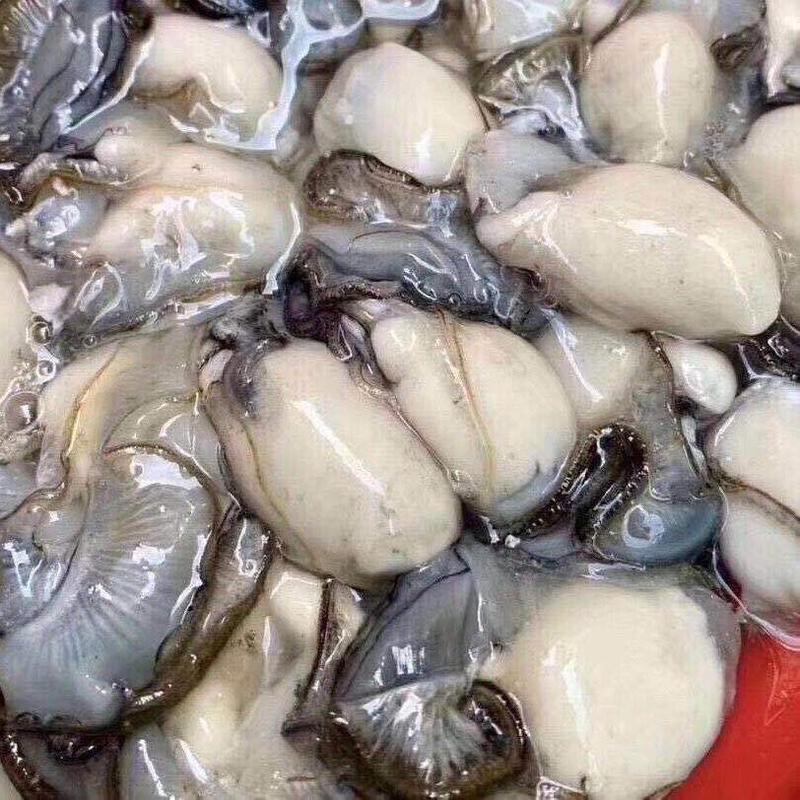 生蚝肉现剥现发汫洲源头工厂直发海蛎子牡蛎肉原产地