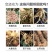 根结线虫专用淡紫紫孢菌胶冻样虫卵双杀根瘤菌病抑菌杀线虫