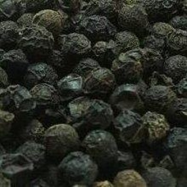 荜澄茄澄茄子山苍子澄茄