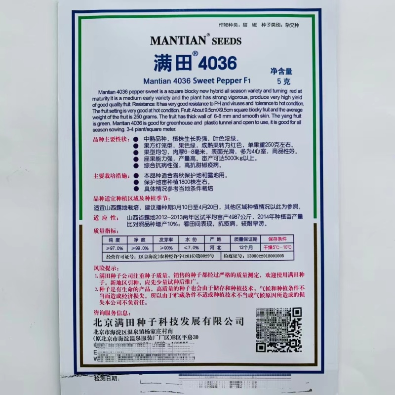 果方灯笼型辣椒种子中熟品种菜椒种子商品性好抗病性强