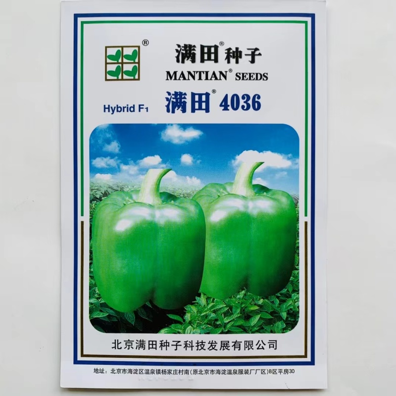 果方灯笼型辣椒种子中熟品种菜椒种子商品性好抗病性强