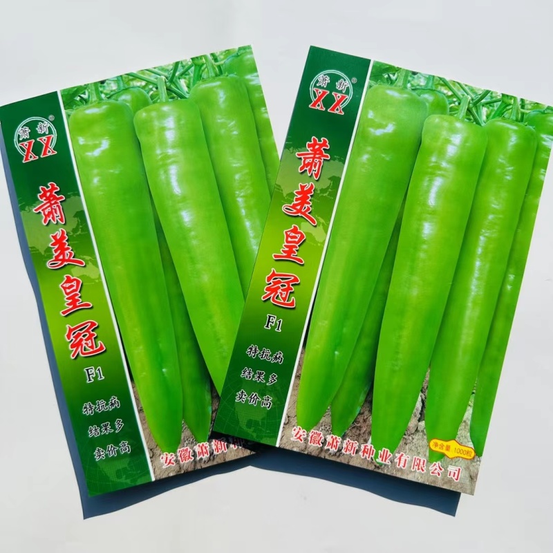 早熟黄皮辣椒种子辣味适中果色黄绿肉厚耐储存结果多