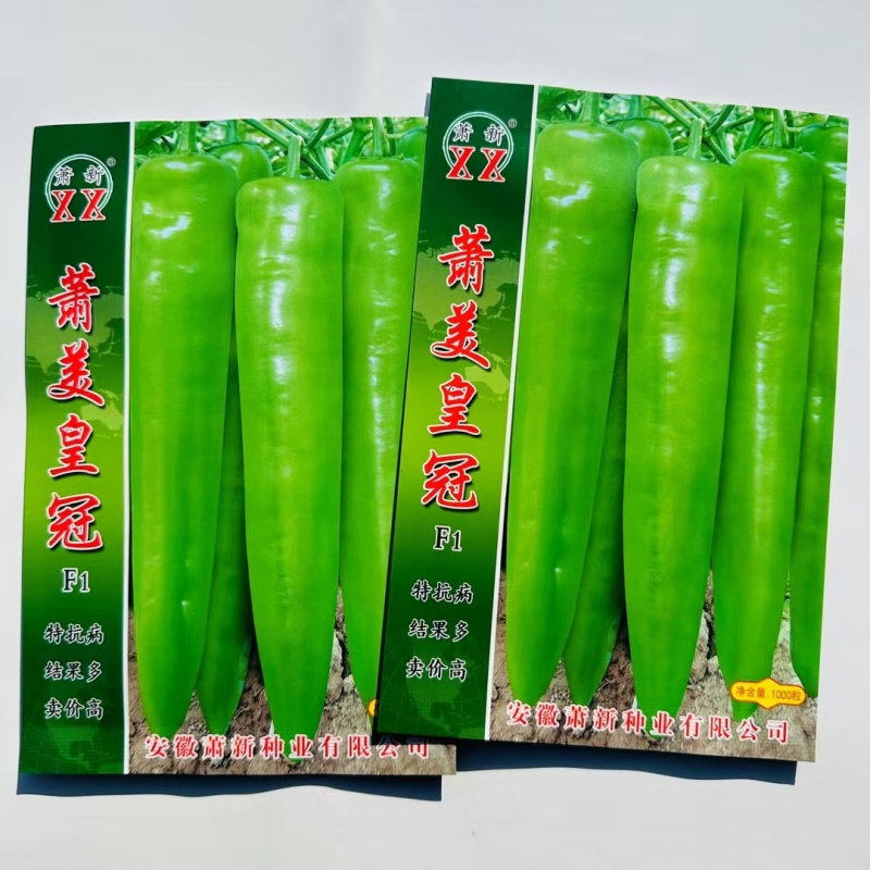 早熟黄皮辣椒种子辣味适中果色黄绿肉厚耐储存结果多
