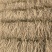 牛夕，防风
