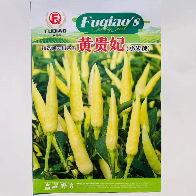 白色朝天椒种子小米椒种子果实单生红熟果鲜红鲜食加工皆宜