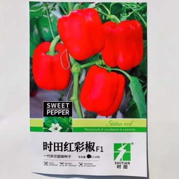 杂交一代早熟甜椒种子易坐果抗病适应性广商品性好