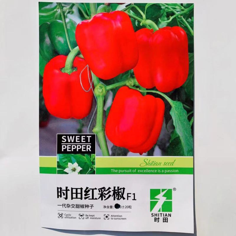 杂交一代早熟甜椒种子易坐果抗病适应性广商品性好