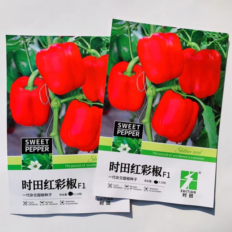 杂交一代早熟甜椒种子易坐果抗病适应性广商品性好