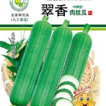 丝瓜种子翠香新研发升级品种早熟节节有瓜中长棒顺直翠绿