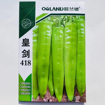 杂交中早熟黄绿皮辣椒种子连续坐果能力强椒型顺直商品性好