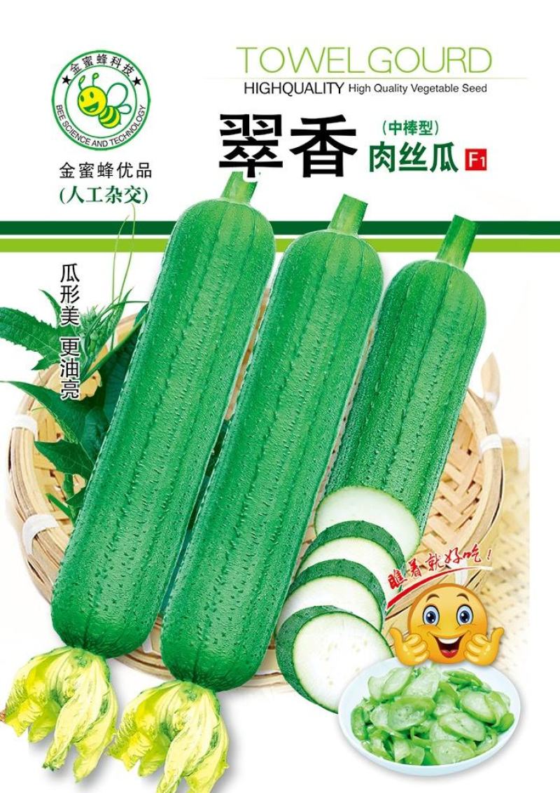丝瓜种子翠香新研发升级品种早熟节节有瓜中长棒顺直翠绿