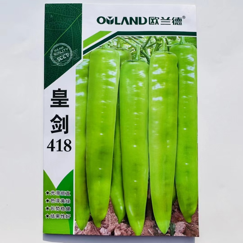 杂交中早熟黄绿皮辣椒种子连续坐果能力强椒型顺直商品性好