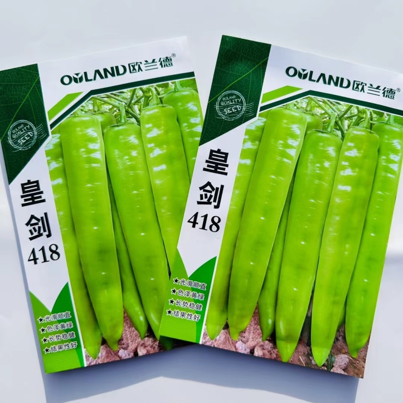 杂交中早熟黄绿皮辣椒种子连续坐果能力强椒型顺直商品性好