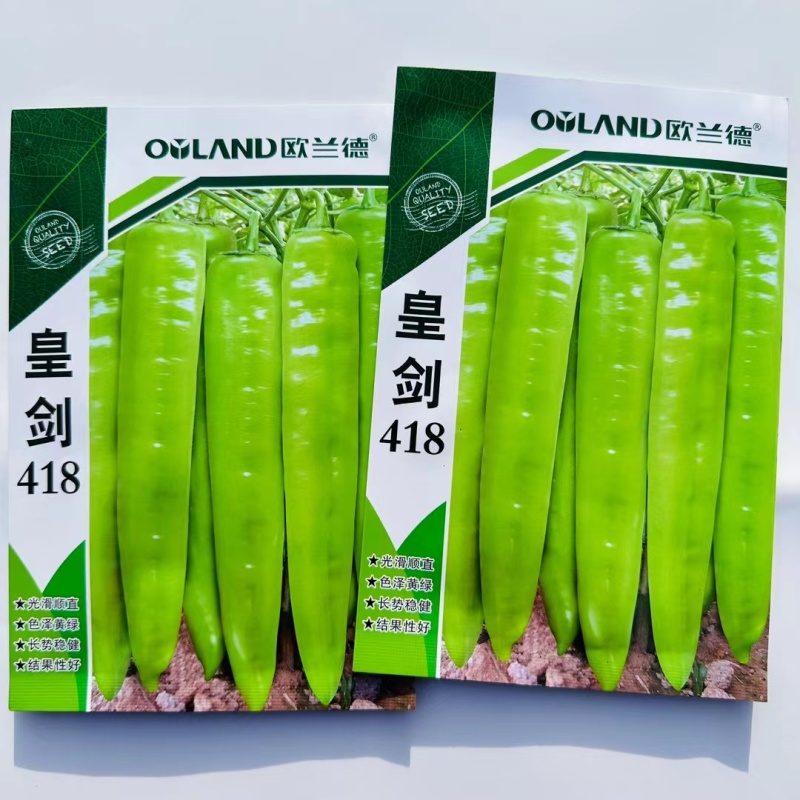 杂交中早熟黄绿皮辣椒种子连续坐果能力强椒型顺直商品性好