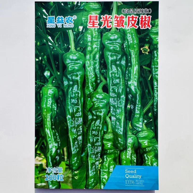 中早熟杂交辣椒种子皱皮辣椒种子亮度好辣味适中商品性好