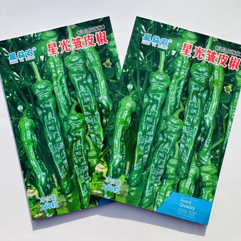 中早熟杂交辣椒种子皱皮辣椒种子亮度好辣味适中商品性好