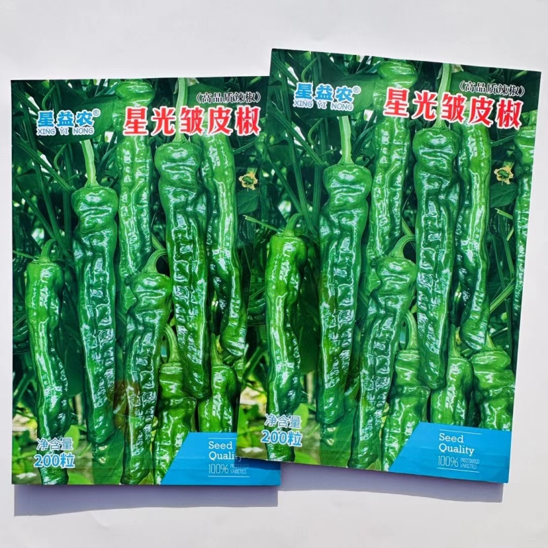 中早熟杂交辣椒种子皱皮辣椒种子亮度好辣味适中商品性好