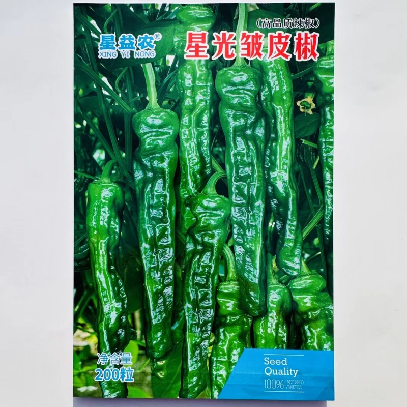 中早熟杂交辣椒种子皱皮辣椒种子亮度好辣味适中商品性好
