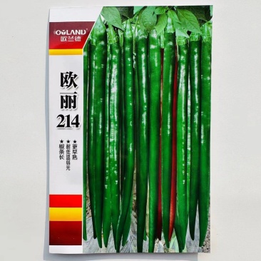 一代杂交线椒种子大田用种中早熟口感好耐运输