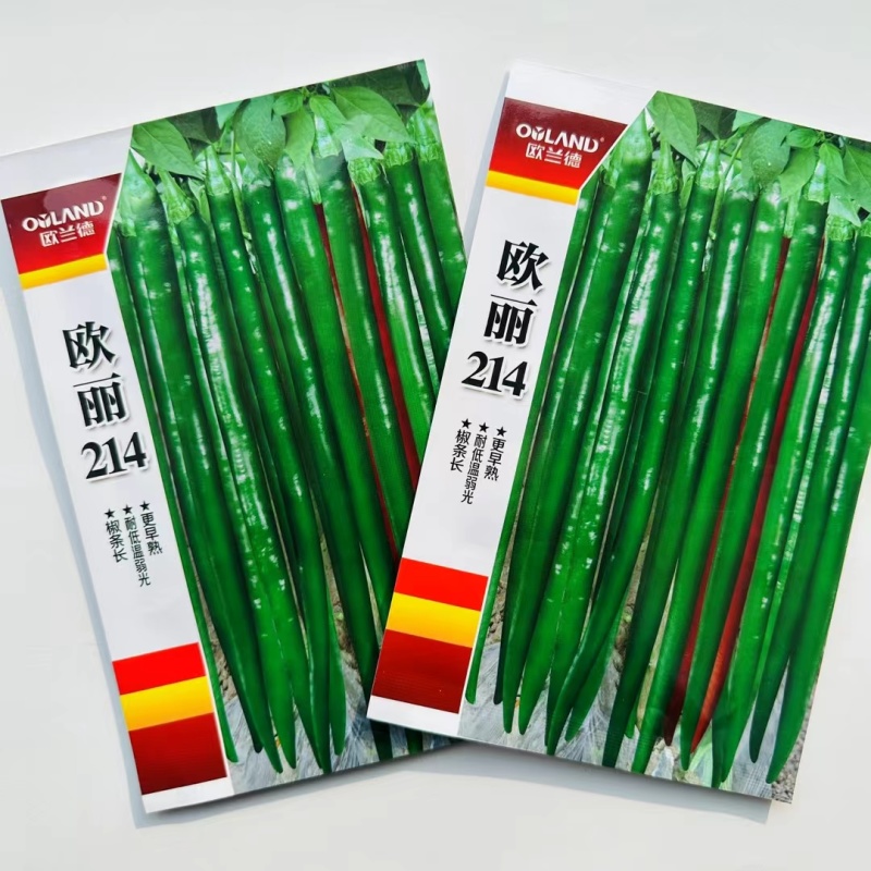 一代杂交线椒种子大田用种中早熟口感好耐运输