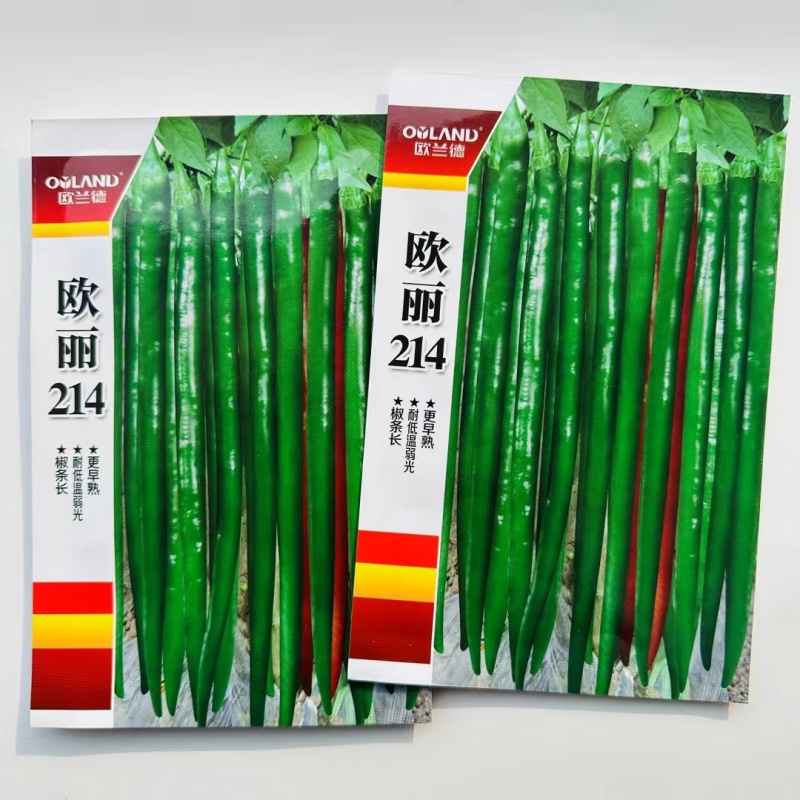 一代杂交线椒种子大田用种中早熟口感好耐运输