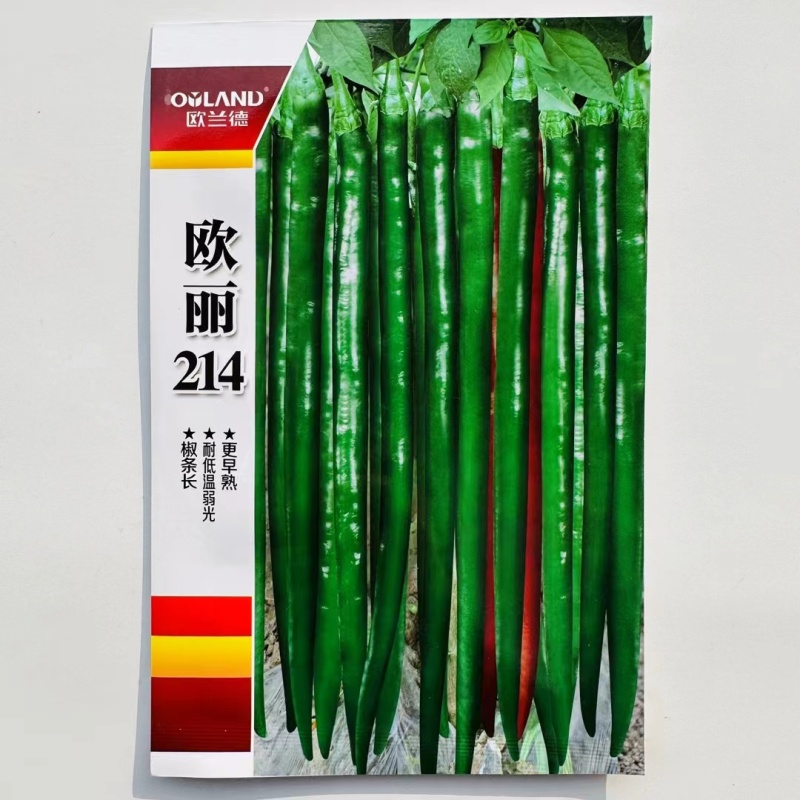 一代杂交线椒种子大田用种中早熟口感好耐运输